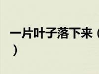 一片叶子落下来（关于一片叶子落下来的介绍）