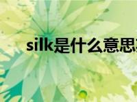 silk是什么意思英文（silk是什么意思）