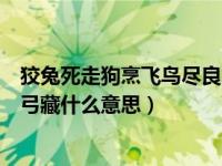 狡兔死走狗烹飞鸟尽良弓藏谁说的（狡兔死走狗烹飞鸟尽良弓藏什么意思）