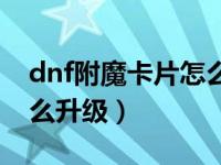 dnf附魔卡片怎么达到上限（dnf附魔卡片怎么升级）