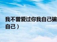 我不曾爱过你我自己骗自己下一句（我不曾爱过你我自己骗自己）