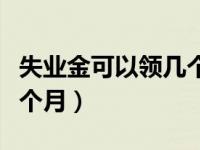 失业金可以领几个月领多少（失业金可以领几个月）