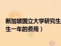 新加坡国立大学研究生学费和生活费（新加坡国立大学研究生一年的费用）