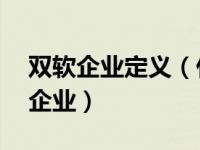 双软企业定义（什么叫 ldquo 双软 rdquo 企业）