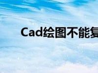 Cad绘图不能复制到另一个cad文件中