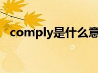 comply是什么意思中文（comply with）