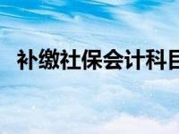 补缴社保会计科目（补缴社保的会计分录）