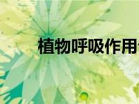 植物呼吸作用公式（植物呼吸作用）