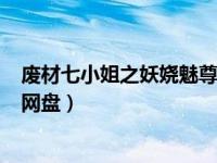 废材七小姐之妖娆魅尊txt下载（废材七小姐之妖娆魅尊txt网盘）