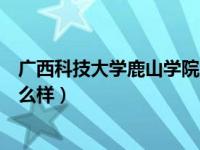 广西科技大学鹿山学院王牌专业（广西科技大学鹿山学院怎么样）