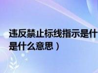 违反禁止标线指示是什么意思罚多少钱（违反禁止标线指示是什么意思）