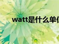 watt是什么单位（wt  是个什么单位）