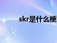 skr是什么梗意思（skr是什么梗）