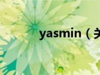 yasmin（关于yasmin的介绍）