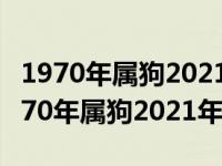 1970年属狗2021年运势及运程每月运程（1970年属狗2021年运势）