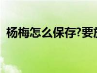 杨梅怎么保存?要放冰箱吗（杨梅怎么保存）