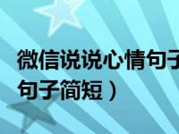 微信说说心情句子简短几个字（微信说说心情句子简短）