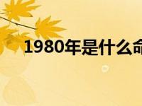 1980年是什么命理（1980年是什么命）