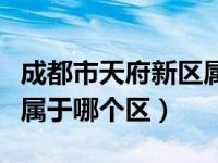 成都市天府新区属于市中心（成都市天府新区属于哪个区）