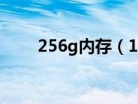 256g内存（1gb等于多少mb内存）