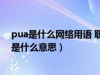 pua是什么网络用语 职场pua是什么意思（网络用语 BBF 是什么意思）