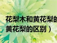 花梨木和黄花梨的区别纹路对比图（花梨木和黄花梨的区别）