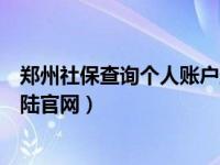 郑州社保查询个人账户登录入口（郑州社保查询个人账户登陆官网）