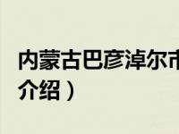 内蒙古巴彦淖尔市（关于内蒙古巴彦淖尔市的介绍）