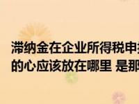 滞纳金在企业所得税申报里面应该放在哪里（一个人的夜 我的心应该放在哪里 是那首歌）