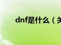 dnf是什么（关于dnf是什么的介绍）