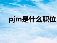 pjm是什么职位（pjm yqq是什么意思）