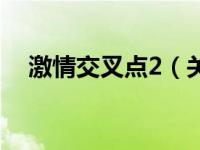 激情交叉点2（关于激情交叉点2的介绍）