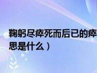 鞠躬尽瘁死而后已的瘁是什么意思（鞠躬尽瘁死而后已的意思是什么）