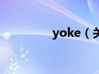 yoke（关于yoke的介绍）