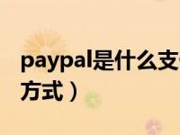 paypal是什么支付模式（paypal是什么支付方式）