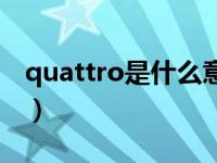 quattro是什么意思啊（quattro是什么意思）