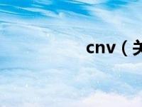 cnv（关于cnv的介绍）