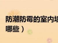 防潮防霉的室内墙面涂料有哪些（墙面涂料有哪些）