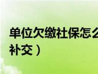 单位欠缴社保怎么补交呢（单位欠缴社保怎么补交）