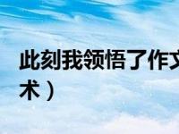 此刻我领悟了作文600字（此刻我领悟了的艺术）