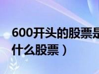 600开头的股票是什么板块的（600开头的是什么股票）