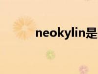 neokylin是国产吗（neokylin）