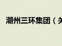 潮州三环集团（关于潮州三环集团的介绍）