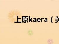 上原kaera（关于上原kaera的介绍）