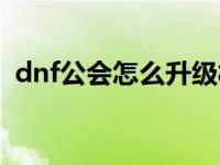 dnf公会怎么升级材料（dnf公会怎么升级）