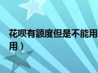 花呗有额度但是不能用是被风控了吗（花呗有额度但是不能用）