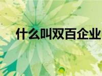 什么叫双百企业（双百企业是什么意思）