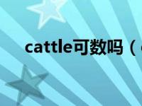 cattle可数吗（cattle是单数还是复数）