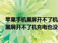 苹果手机黑屏开不了机充电也没反应咋回事（苹果手机突然黑屏开不了机充电也没反应怎么办）