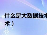 什么是大数据技术通俗一点（什么是大数据技术）